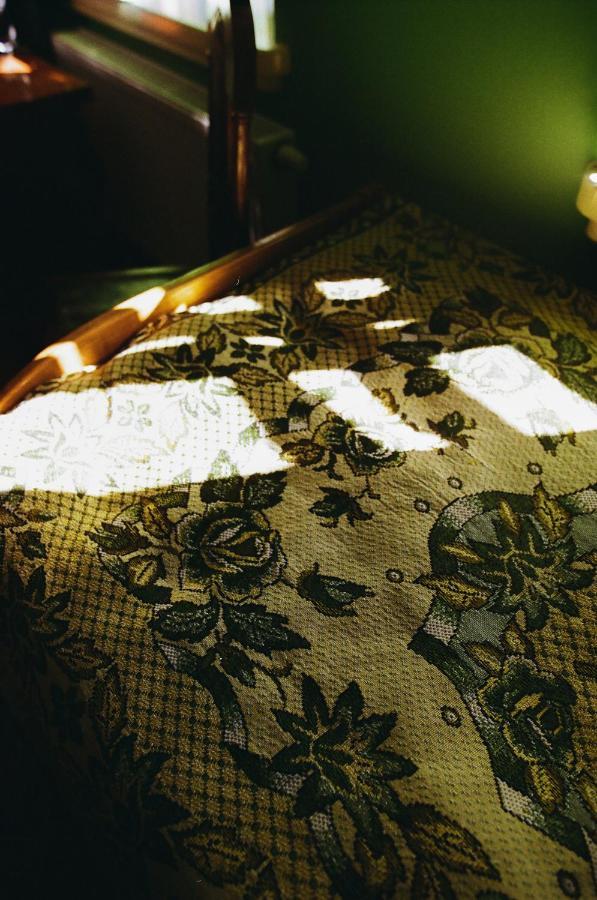 Tradicionalna Kuca Biljkinog Oca Villa Lug Dış mekan fotoğraf