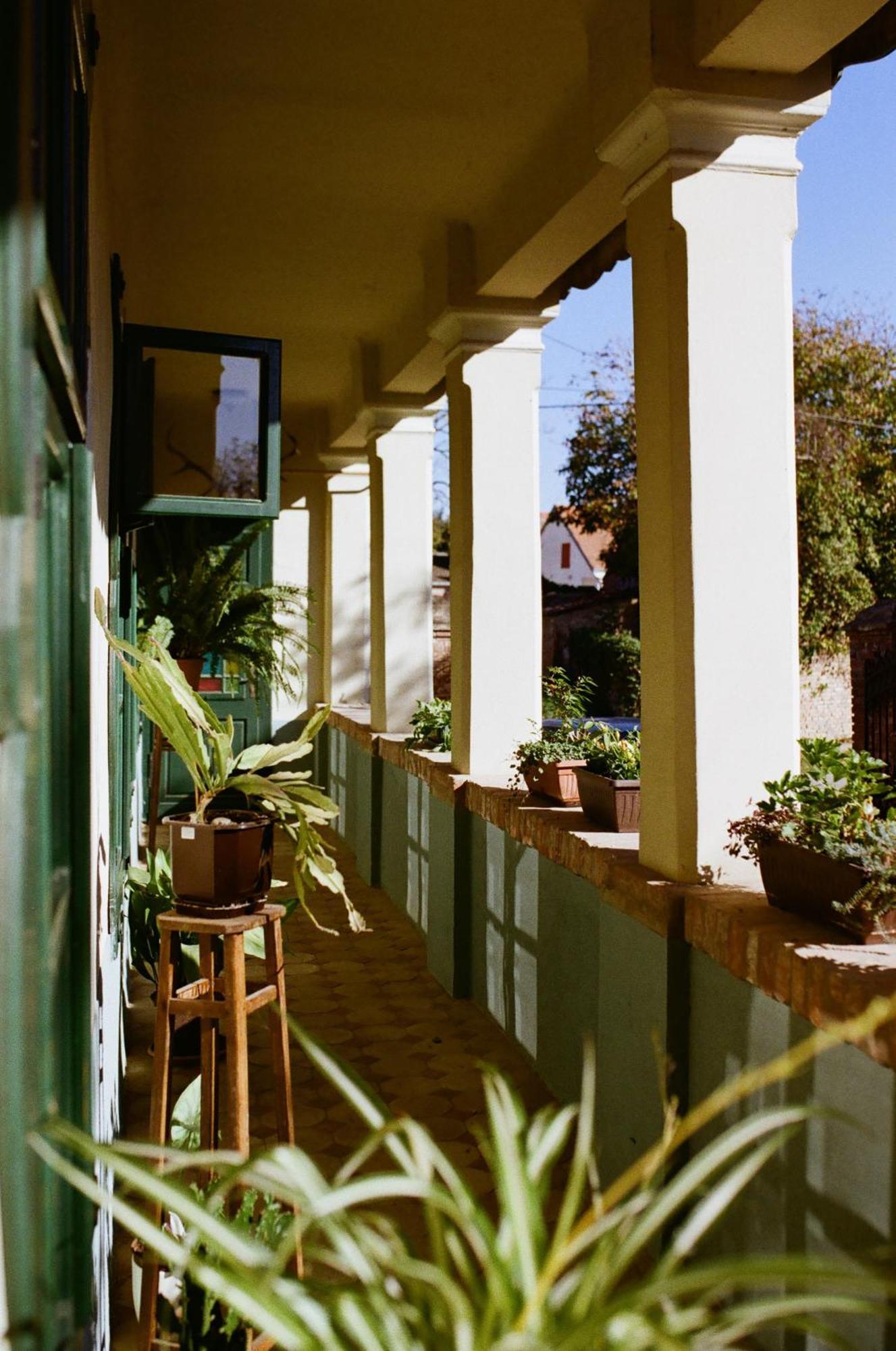 Tradicionalna Kuca Biljkinog Oca Villa Lug Dış mekan fotoğraf